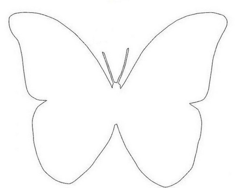 Бабочки из бумаги своими руками (схемы, шаблоны) - Остров доброй надежды