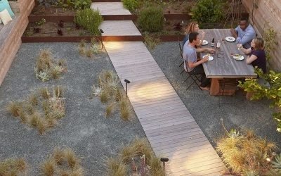 Идеи ландшафтного дизайна двора частного дома на фото