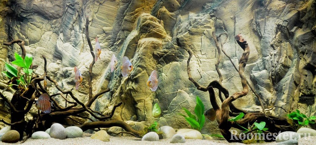 Декоративный фон аквариума