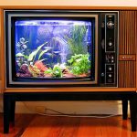Телевизор-аквариум