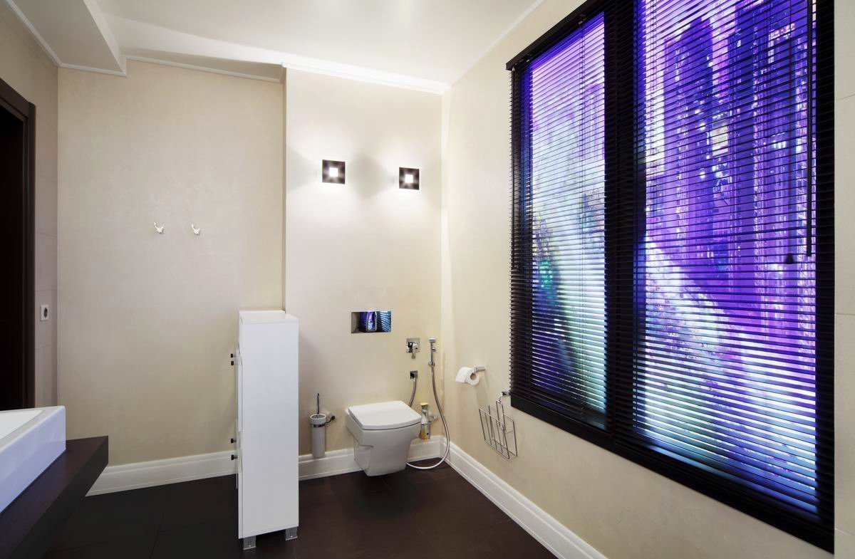 Виртуальное окно в туалете