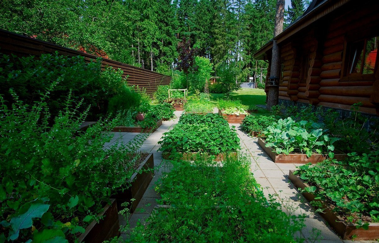 ландшафтный дизайн дачного участка с огородом фото
