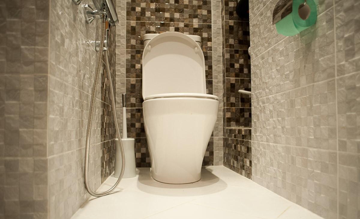 Белый туалет дизайн в квартире (83 фото)