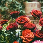 Красные розы в дизайне приусадебного участка