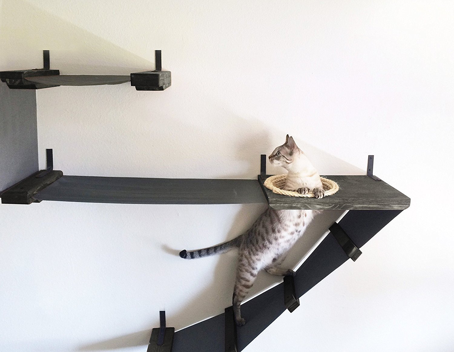 полки на стене для кошек