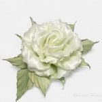 Белая роза 