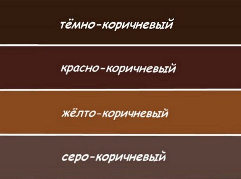 Оттенки коричневого цвета